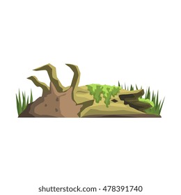 Decaying Tree Trunk In Swamp Jungle Landscape Element