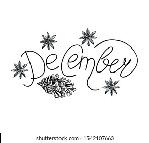 December vector lettering with anise and fir cone.
