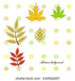 deciduous autumn vector background