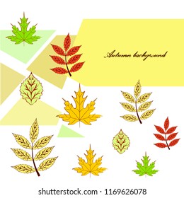 deciduous autumn vector background