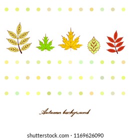 deciduous autumn vector background
