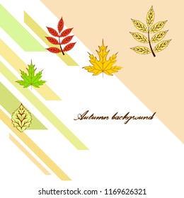 deciduous autumn vector background