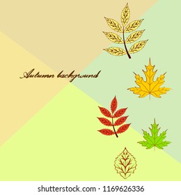 deciduous autumn vector background