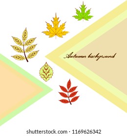 deciduous autumn vector background
