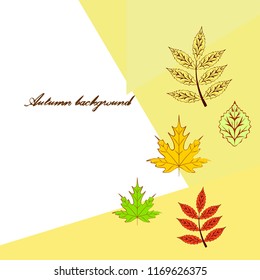 deciduous autumn vector background