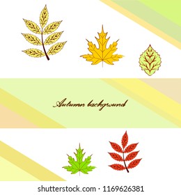 deciduous autumn vector background