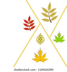 deciduous autumn vector background deciduous autumn vector background