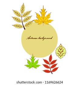 deciduous autumn vector background