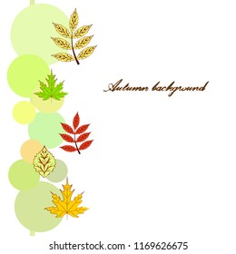 deciduous autumn vector background