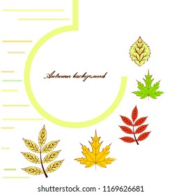 deciduous autumn vector background