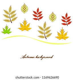 deciduous autumn vector background