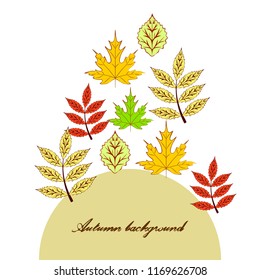 deciduous autumn vector background