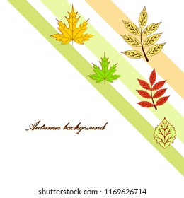 deciduous autumn vector background