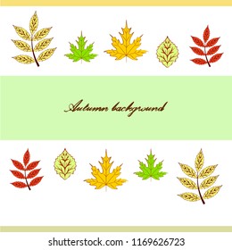 deciduous autumn vector background