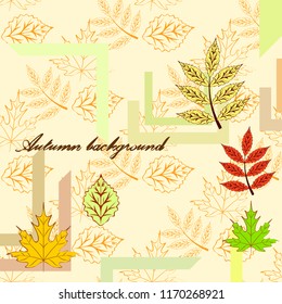 deciduous autumn vector background