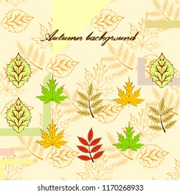 deciduous autumn vector background