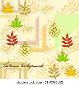 deciduous autumn vector background
