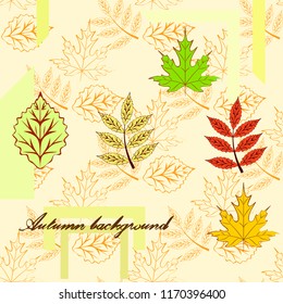 deciduous autumn vector background