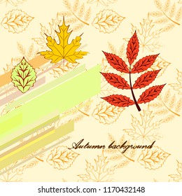 deciduous autumn vector background