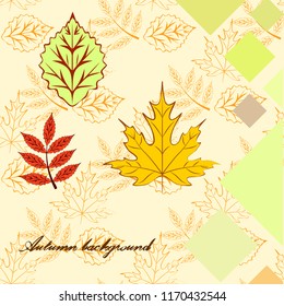 deciduous autumn vector background