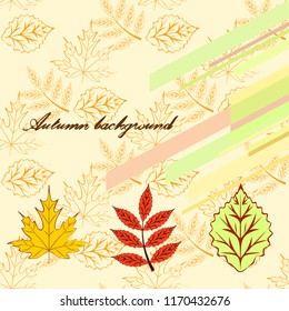 deciduous autumn vector background
