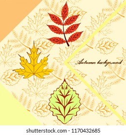 deciduous autumn vector background