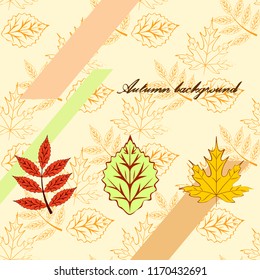 deciduous autumn vector background