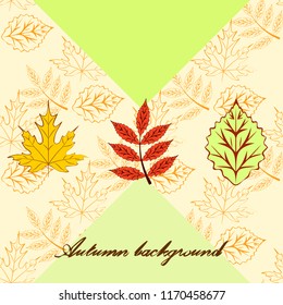 deciduous autumn vector background