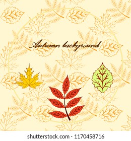 deciduous autumn vector background