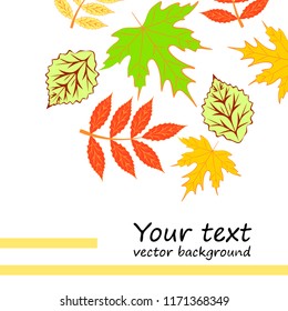 deciduous autumn vector background