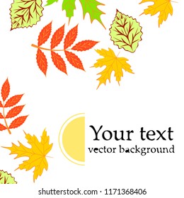 deciduous autumn vector background