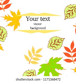 deciduous autumn vector background