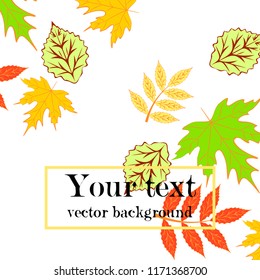 deciduous autumn vector background