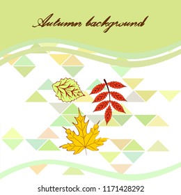 deciduous autumn vector background