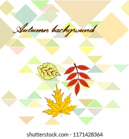 deciduous autumn vector background