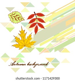 deciduous autumn vector background