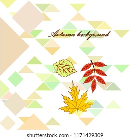 deciduous autumn vector background