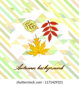 deciduous autumn vector background