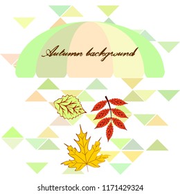 deciduous autumn vector background
