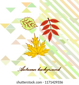 deciduous autumn vector background