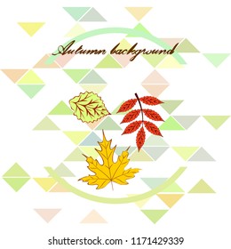 deciduous autumn vector background