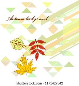 deciduous autumn vector background