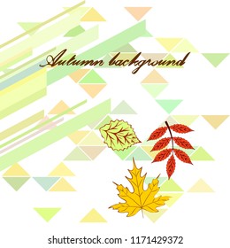 deciduous autumn vector background