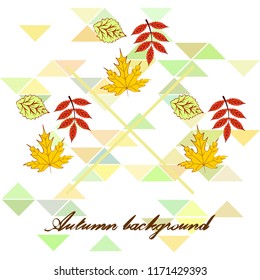 deciduous autumn vector background