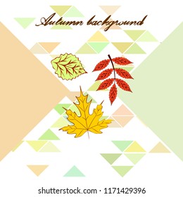 deciduous autumn vector background