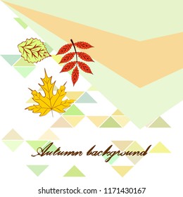deciduous autumn vector background