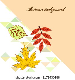 deciduous autumn vector background