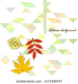 deciduous autumn vector background