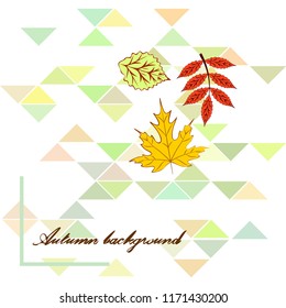 deciduous autumn vector background