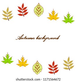 deciduous autumn vector background